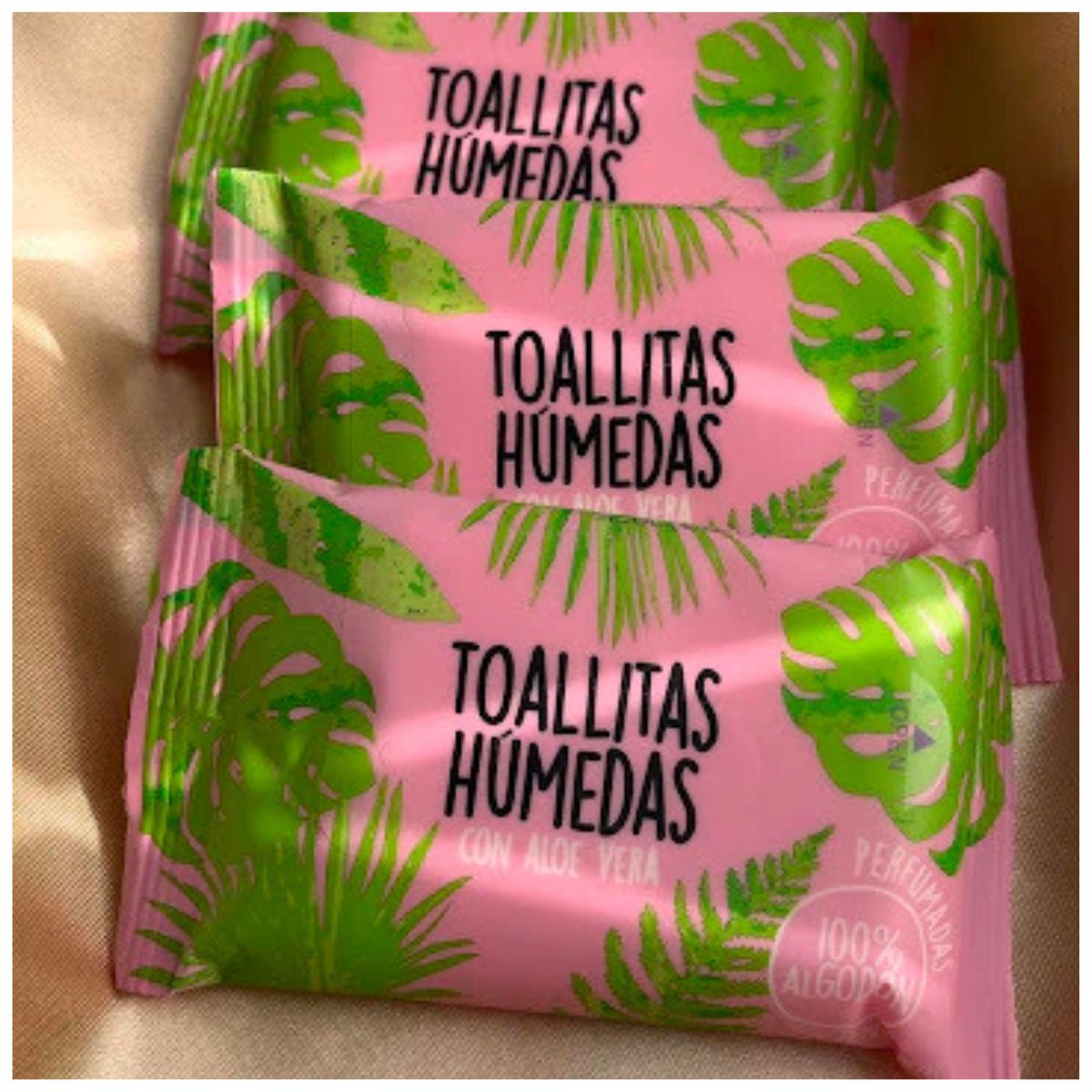 Toallitas Húmedas Aloe Vera T&L