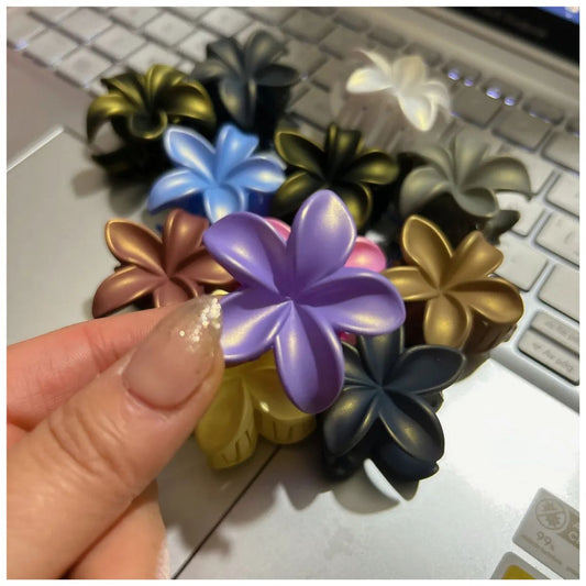 Set 12 Broches Flor Hawaiana Solida